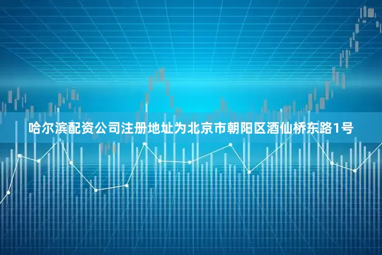 哈尔滨配资公司注册地址为北京市朝阳区酒仙桥东路1号
